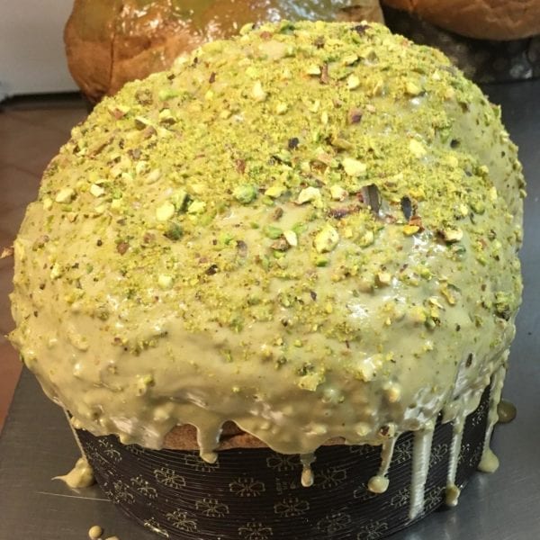 121373937_358457208925195_7214211162045869627_o 121373937_358457208925195_7214211162045869627_o