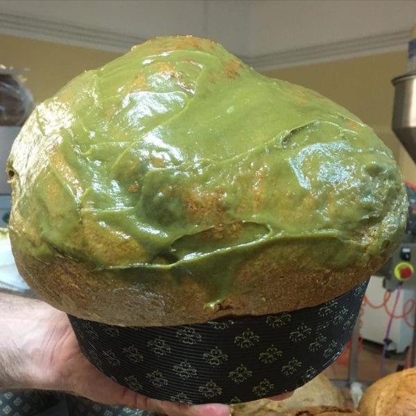 121486161_359191298851786_8242340153693086933_o 121486161_359191298851786_8242340153693086933_o