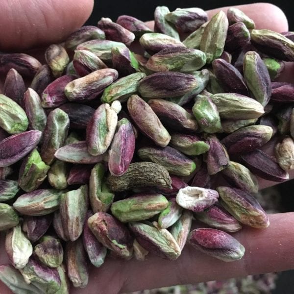 IMG-20201003-WA0082 IMG-20201003-WA0082